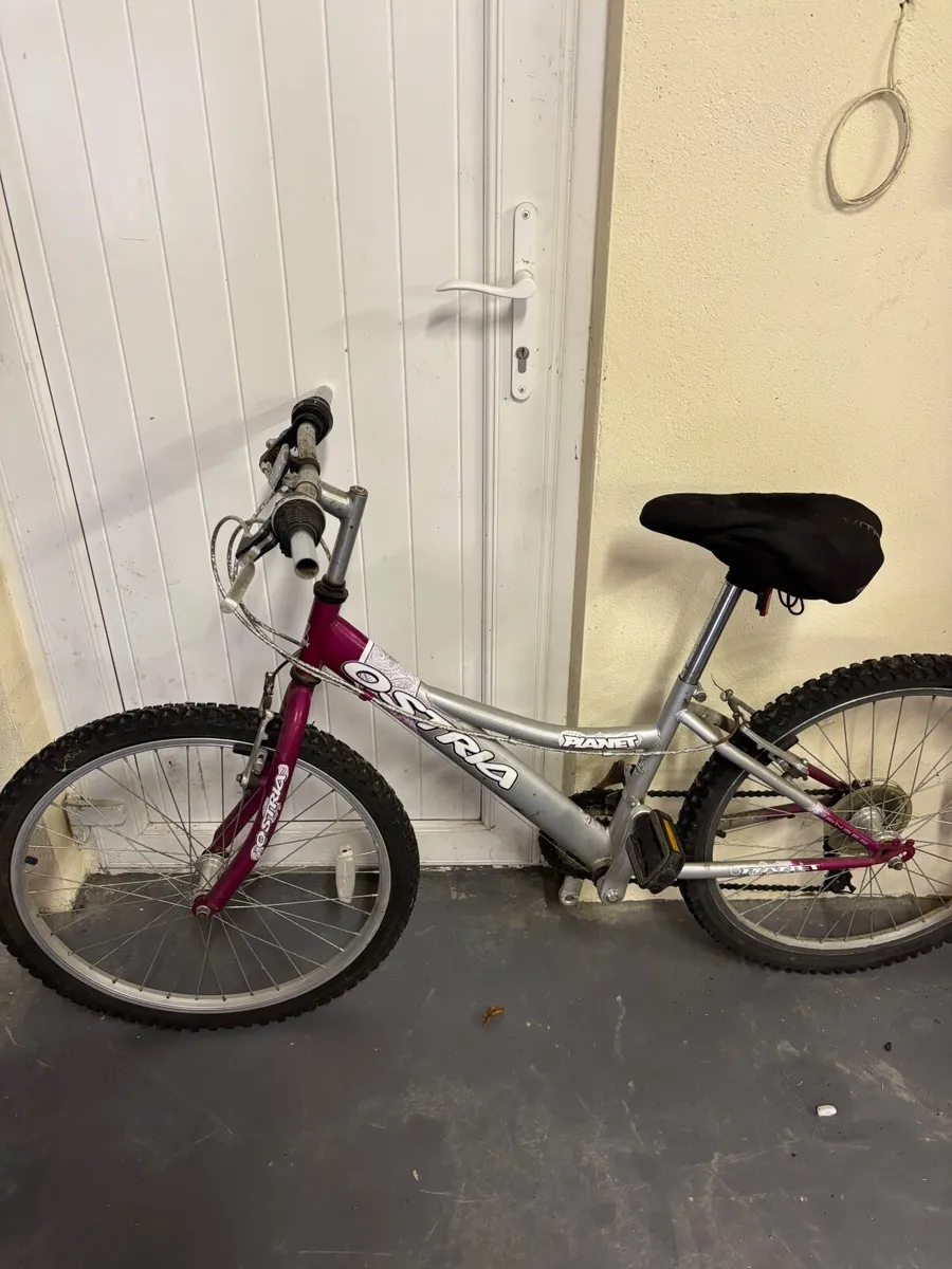 Mountain bike - Image 2