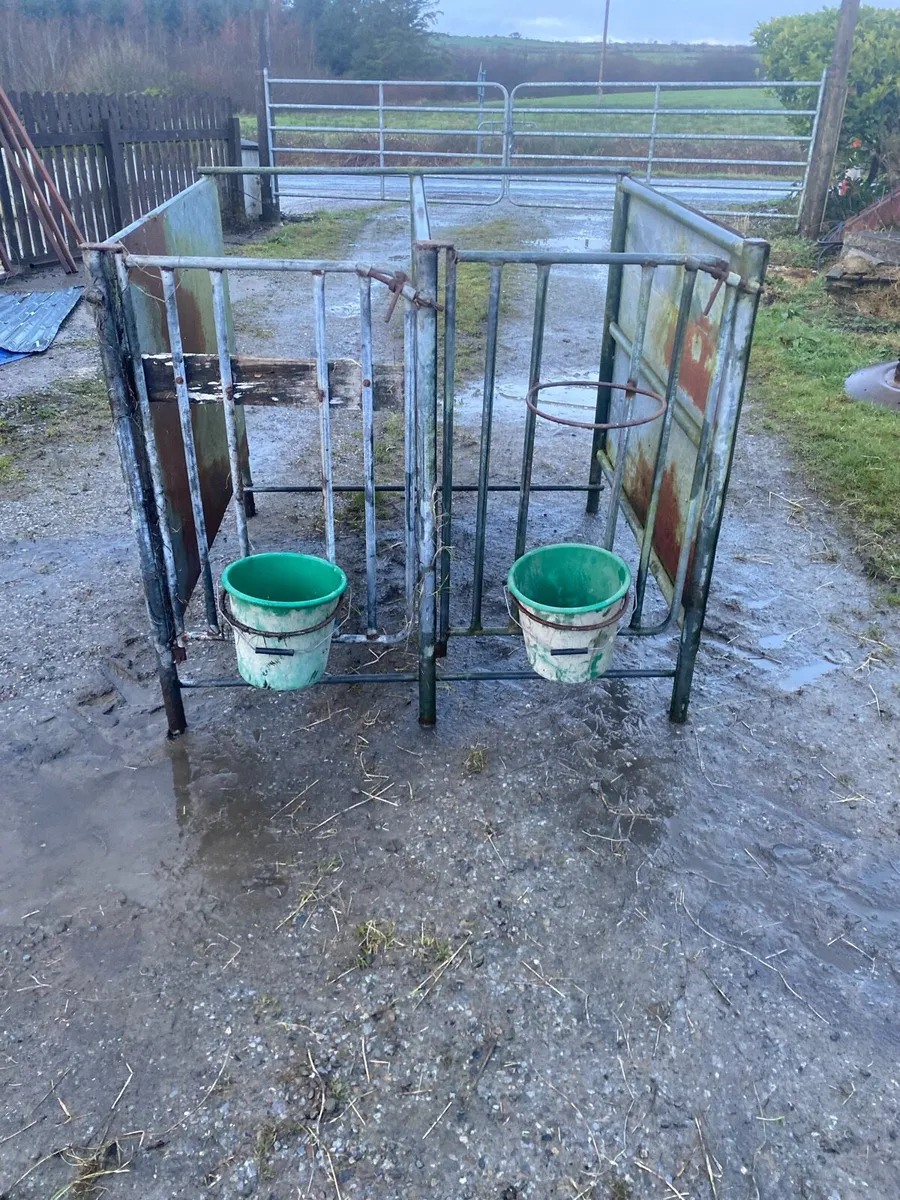 Calf pens - Image 1