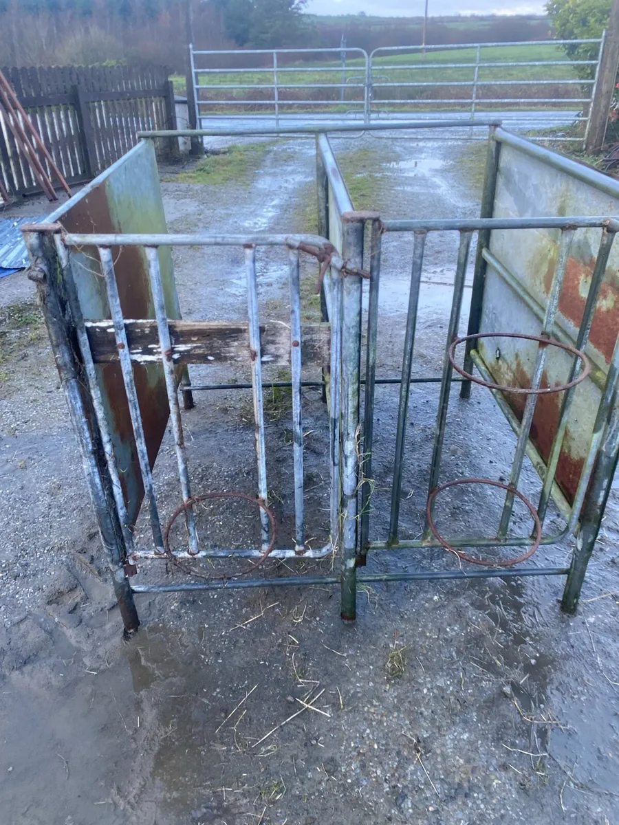Calf pens - Image 2
