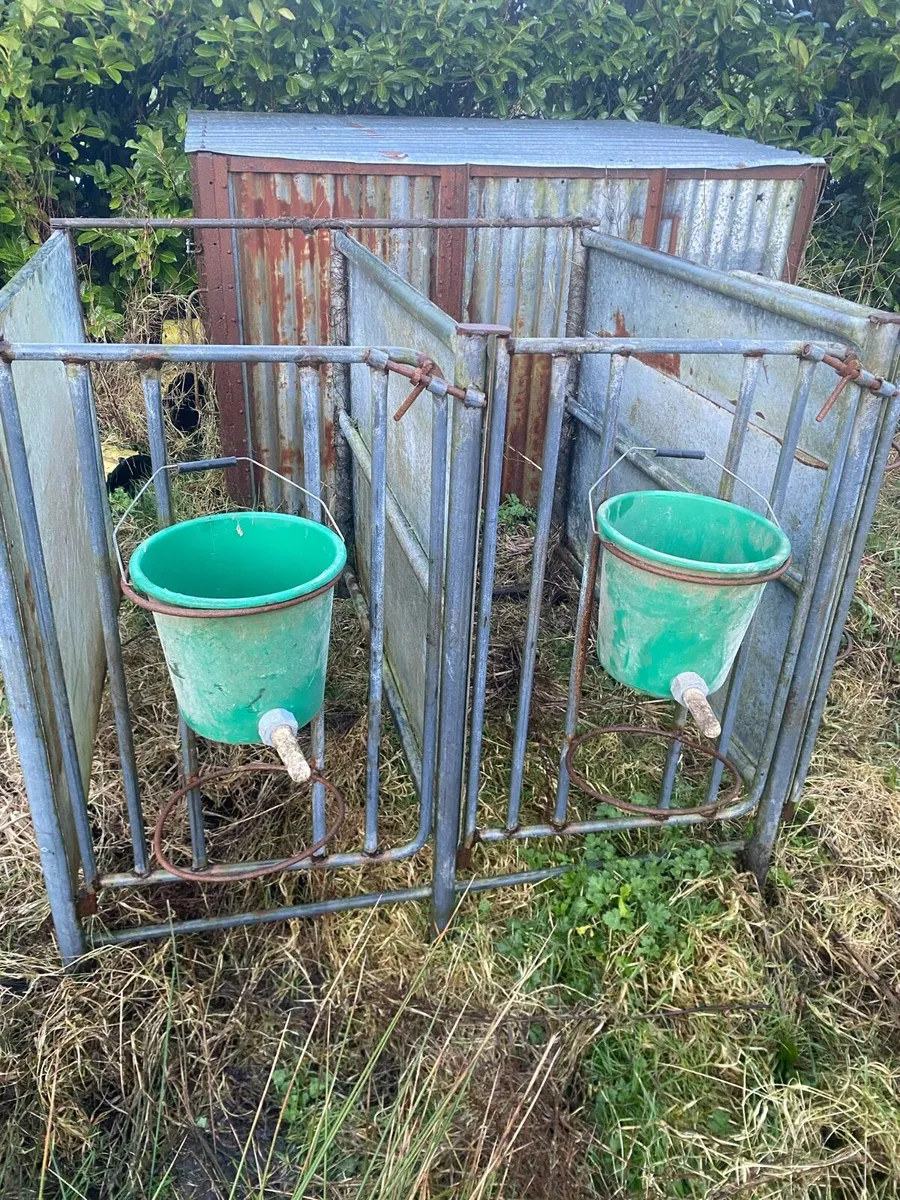 Calf pens - Image 4