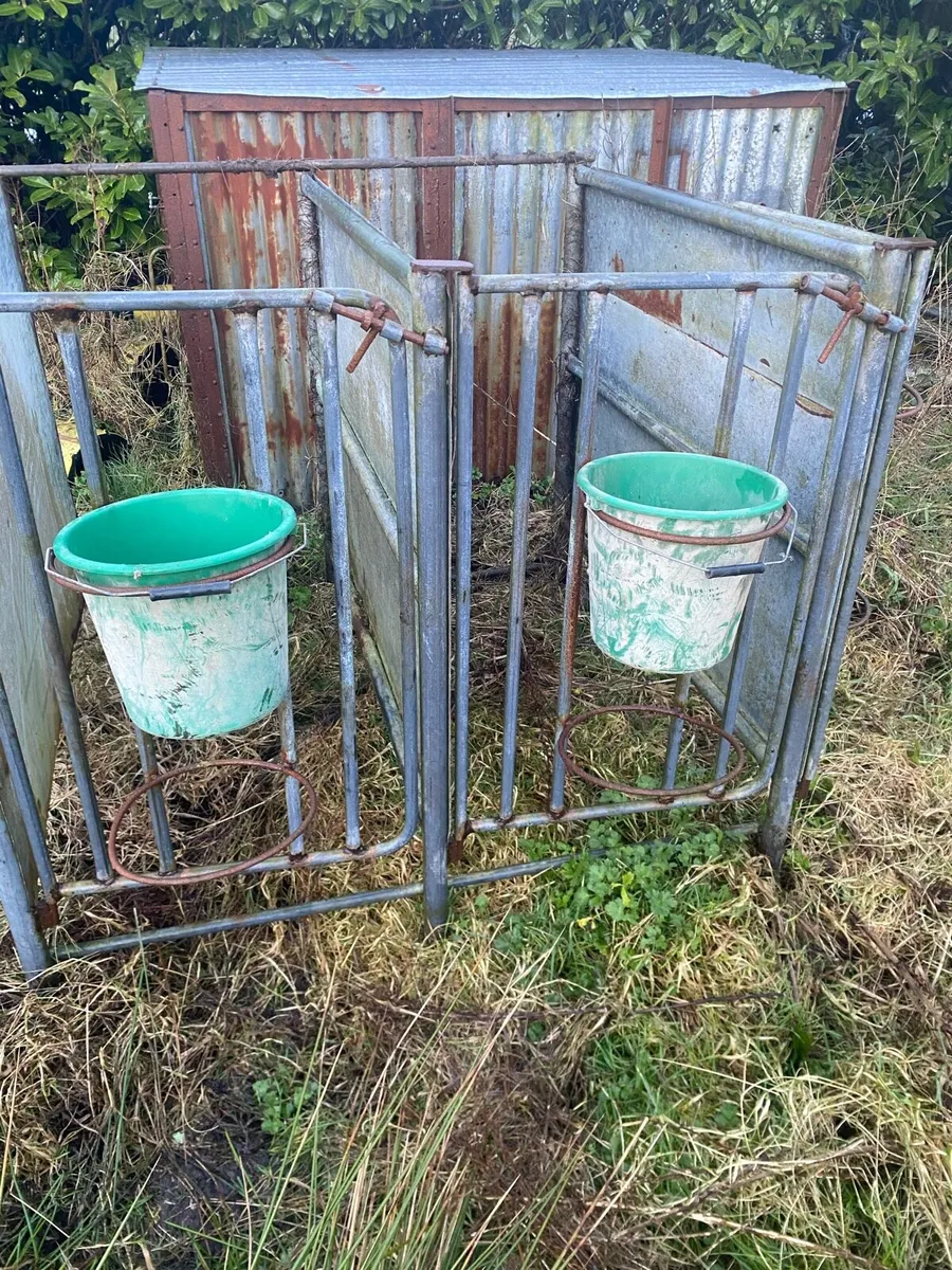 Calf pens - Image 3