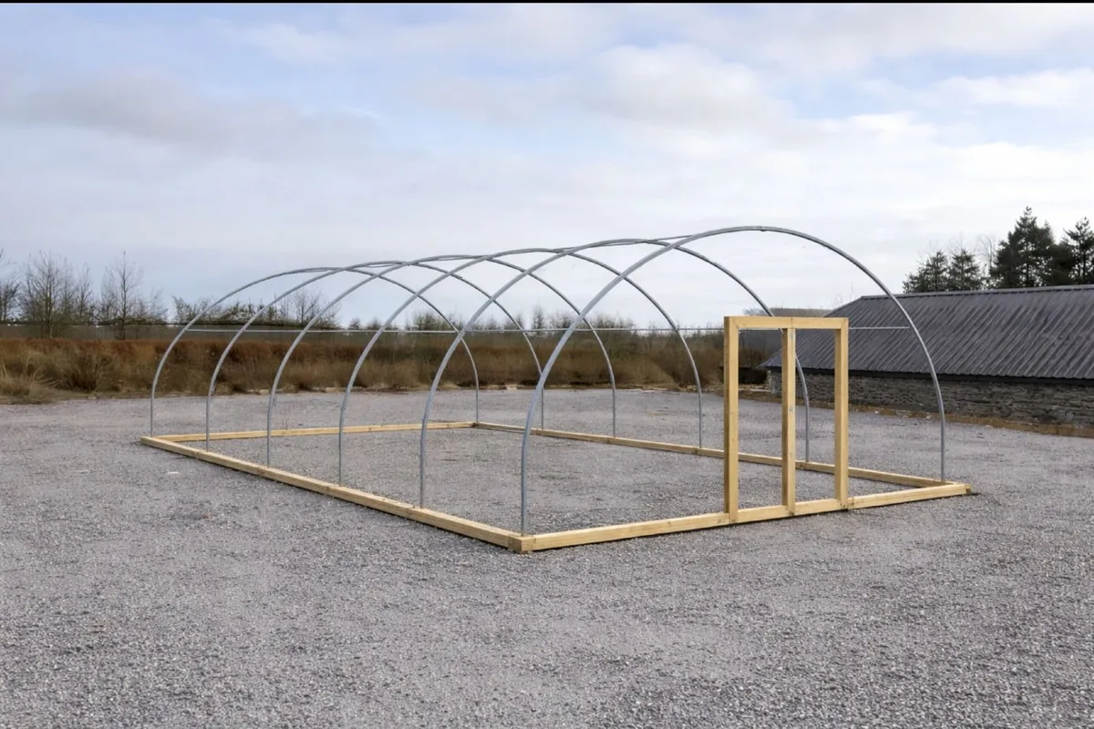 Large Commercial Polytunnel