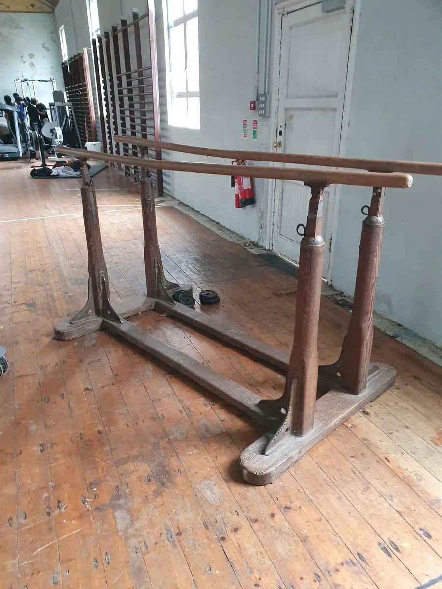 Antique gym bars - Image 1