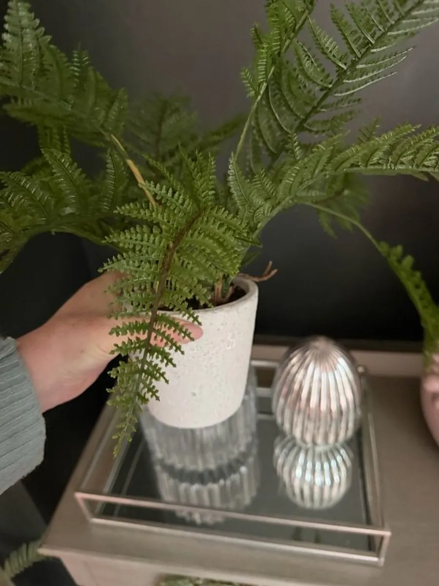 Tray & home Decor - Image 3