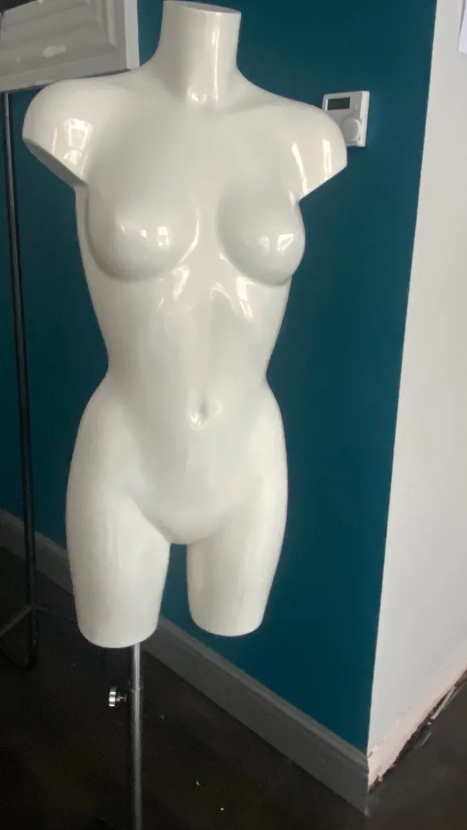 Female Mannequin - Image 1