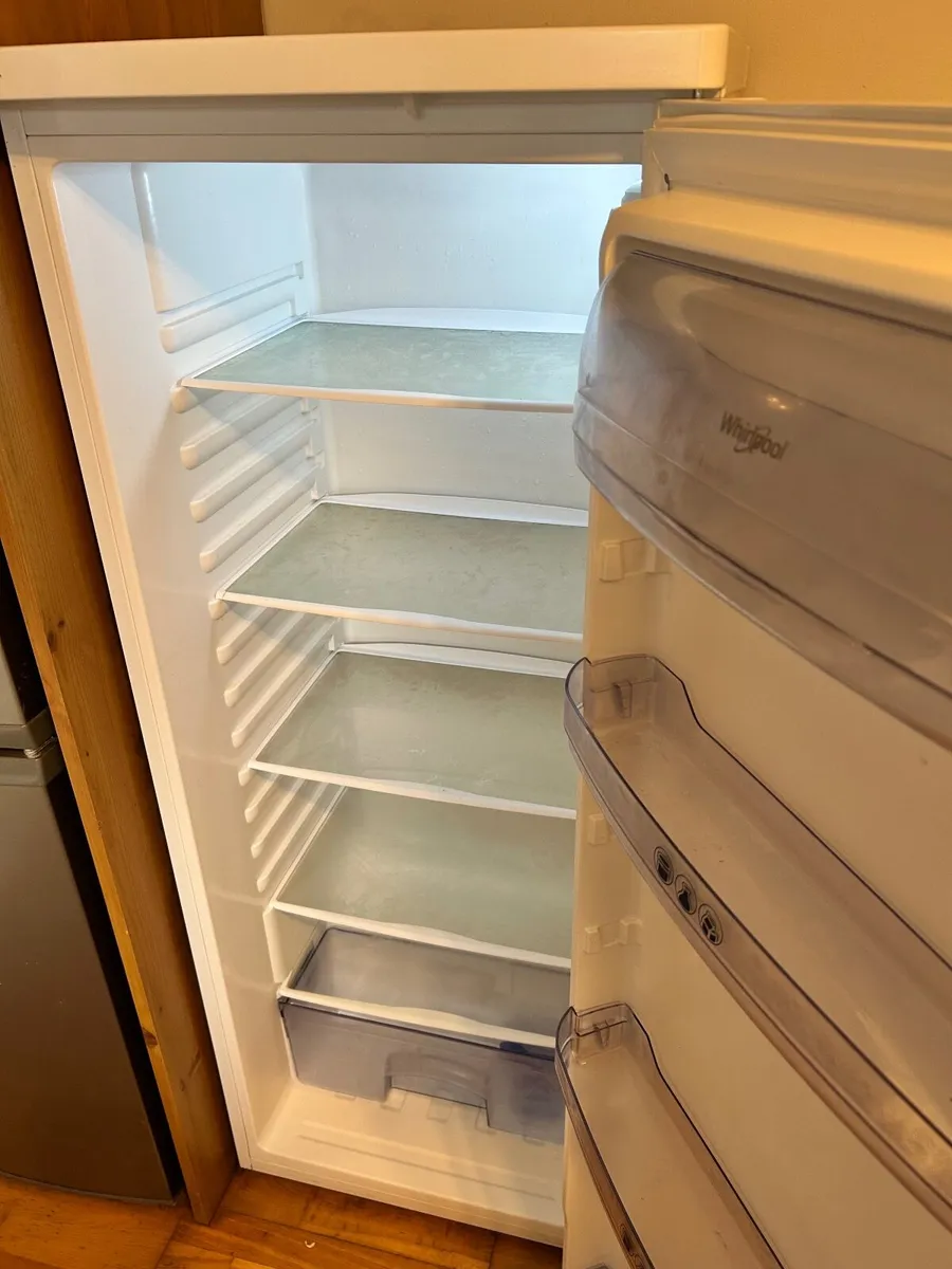 Larder Fridge - Image 2