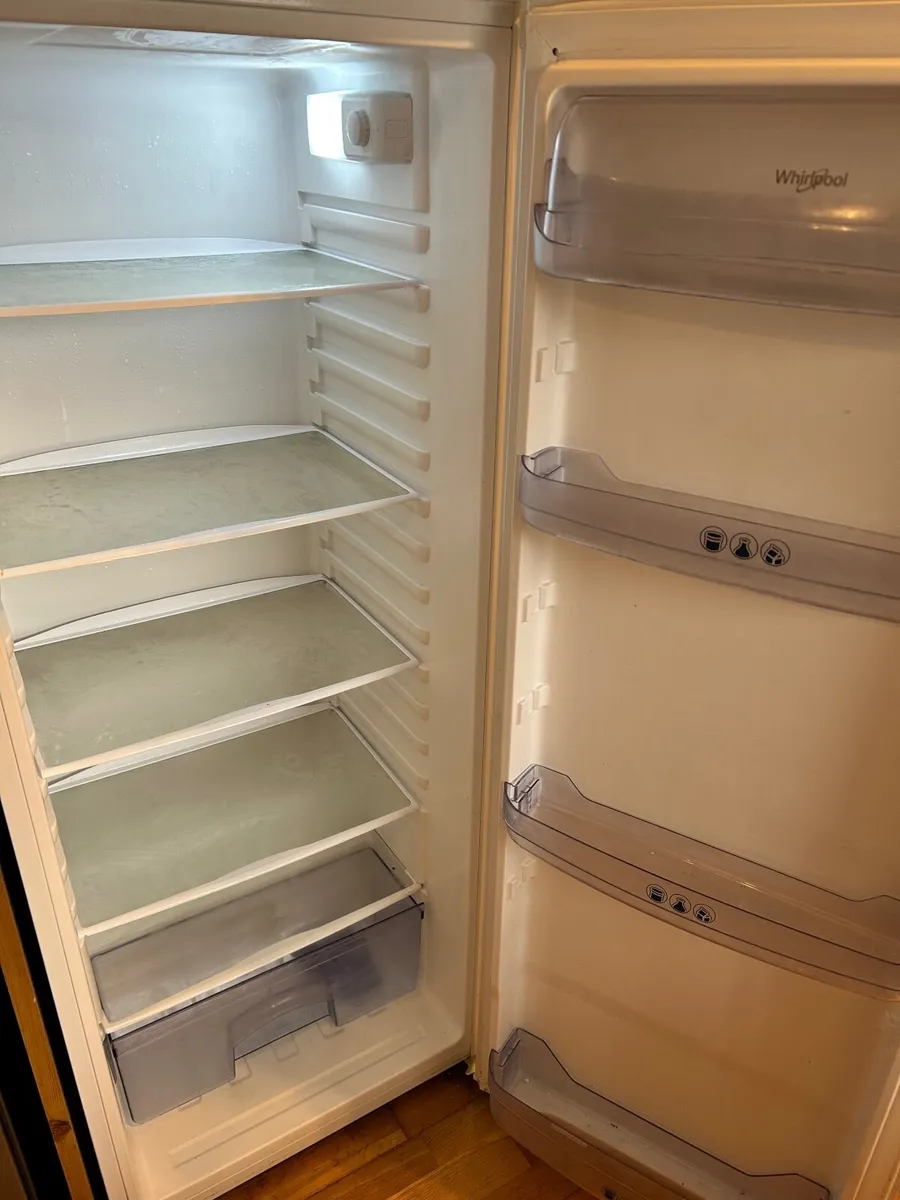 Larder Fridge - Image 4