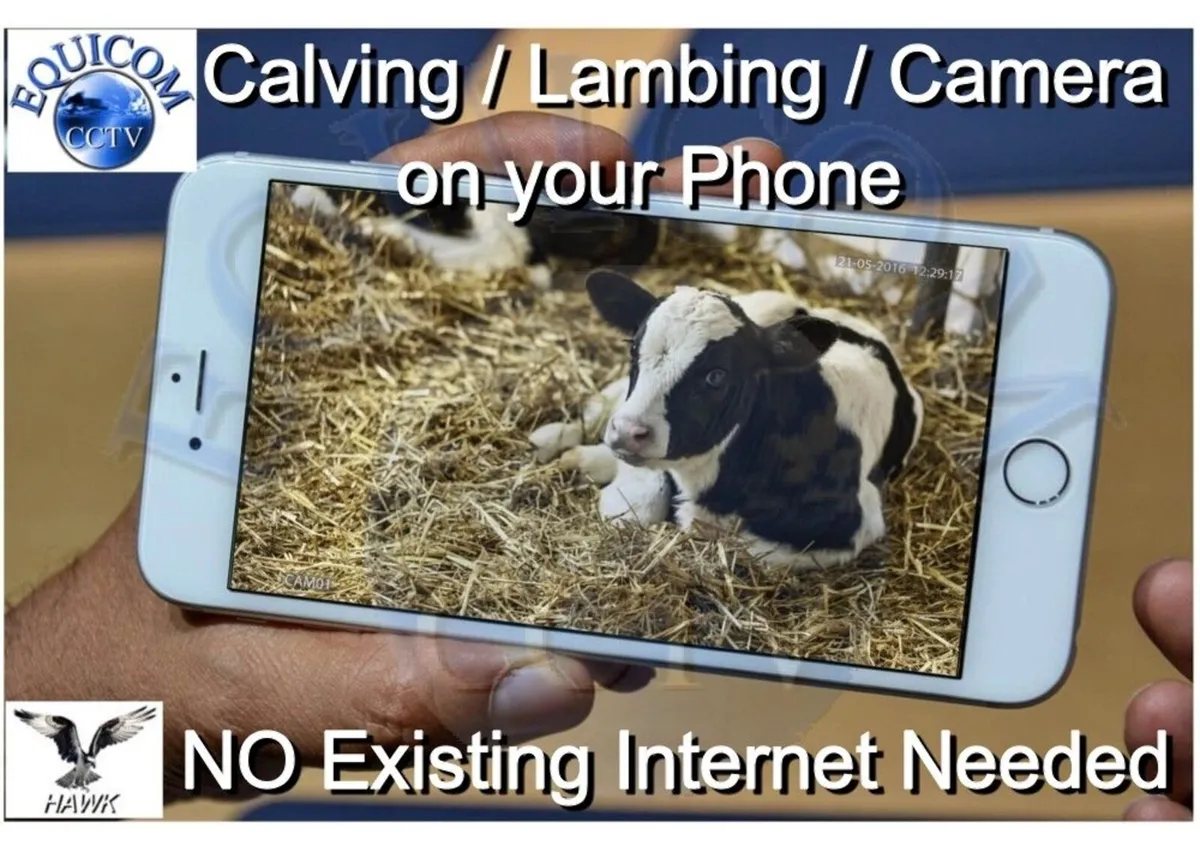 Calving Camera