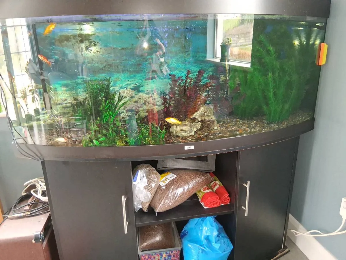 Aquarium 450 litre - Image 1