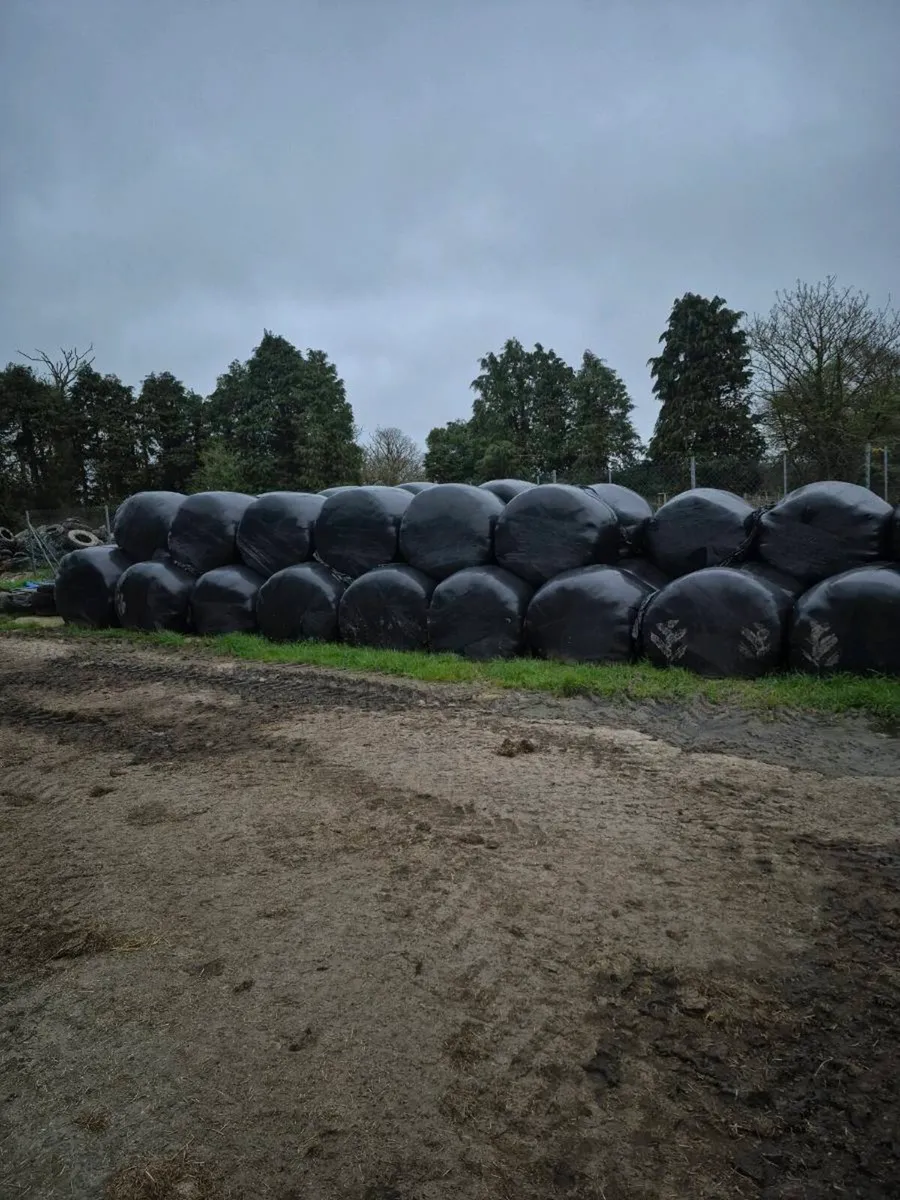 silage bales