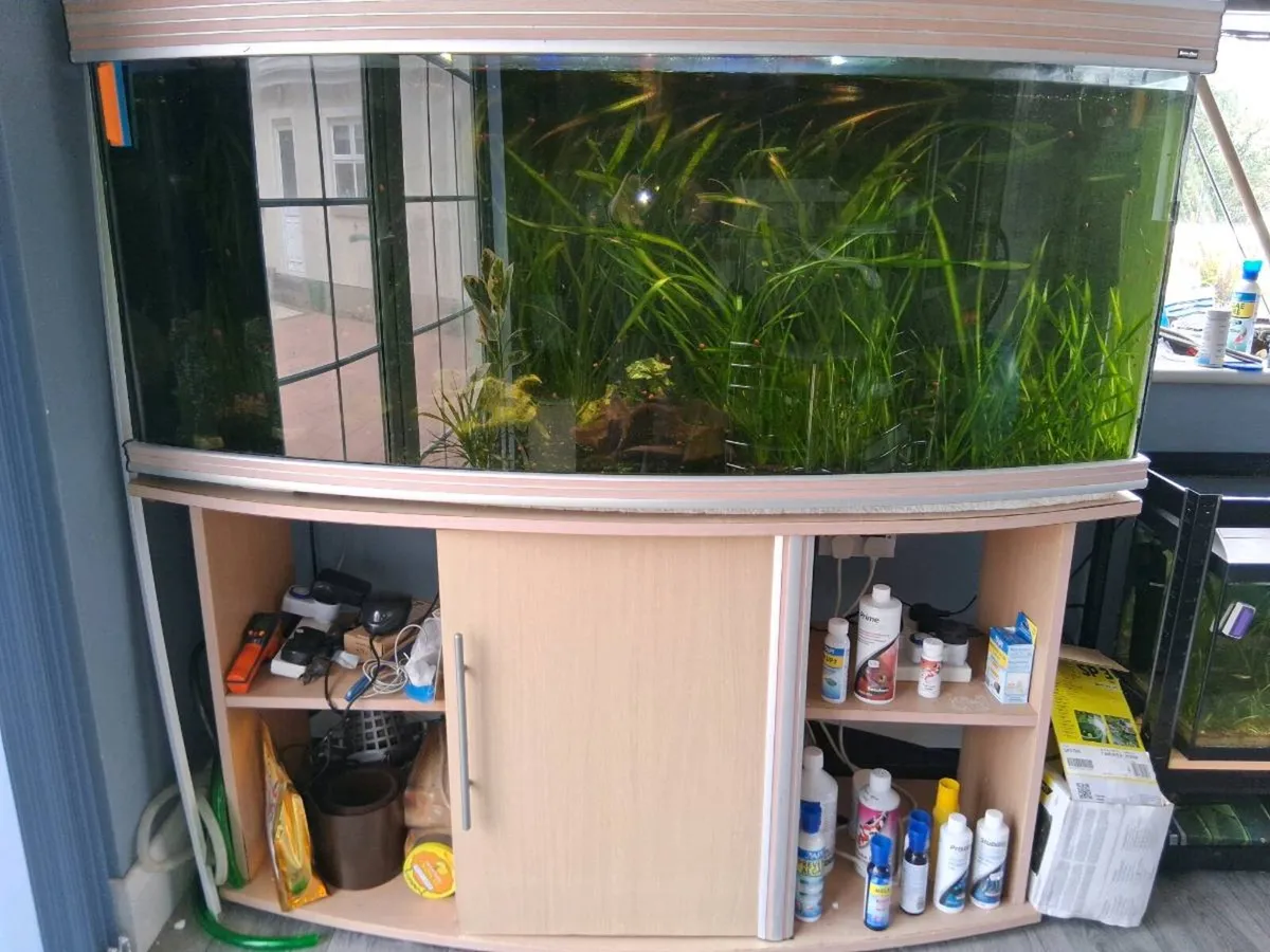 350 litre Aquarium - Image 1
