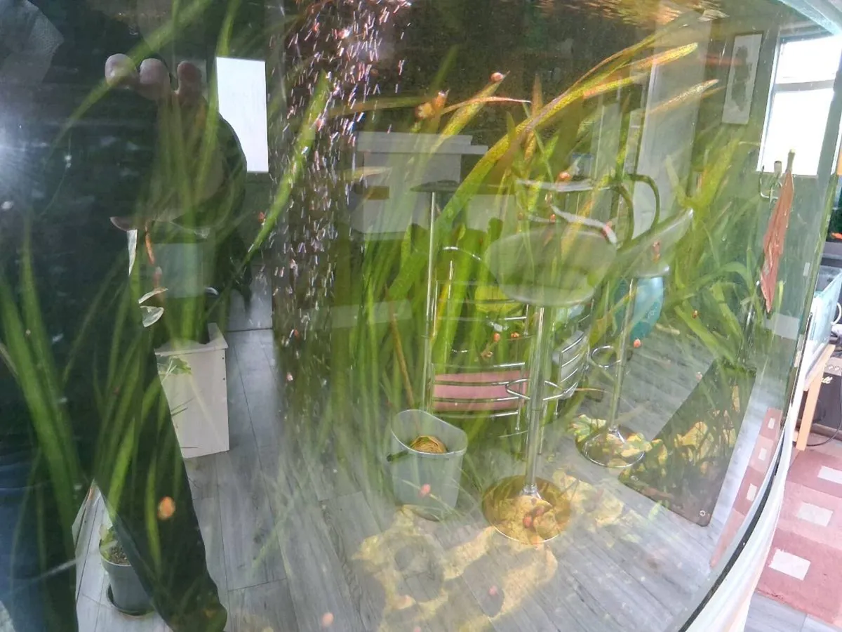 350 litre Aquarium - Image 3