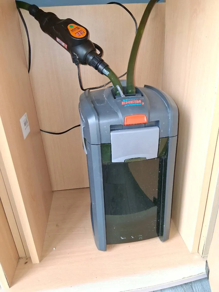 350 litre Aquarium - Image 4