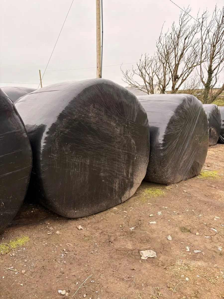 30 Top Quality Silage Bales - Image 1