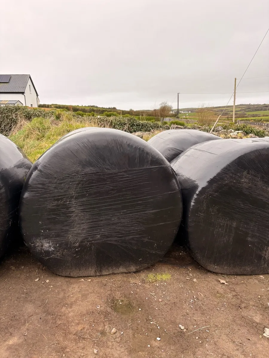30 Top Quality Silage Bales - Image 2