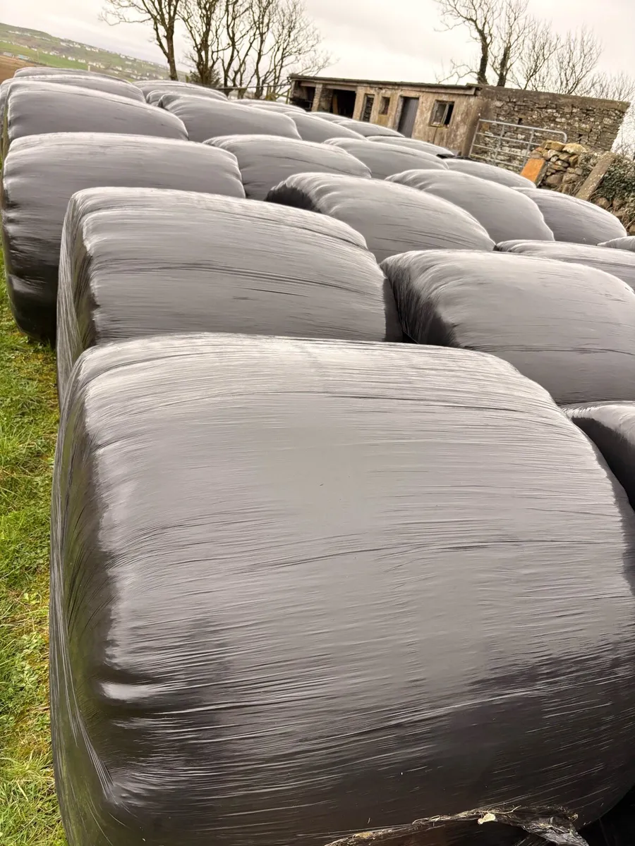 30 Top Quality Silage Bales - Image 3