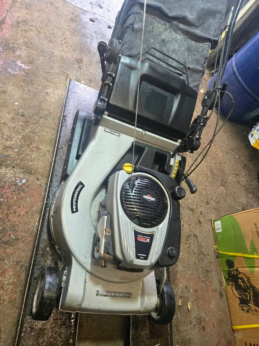 Roller lawnmower for sale - Image 1