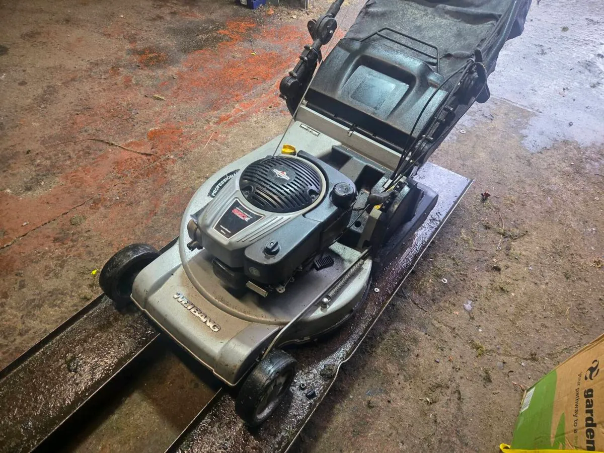 Roller lawnmower for sale - Image 2