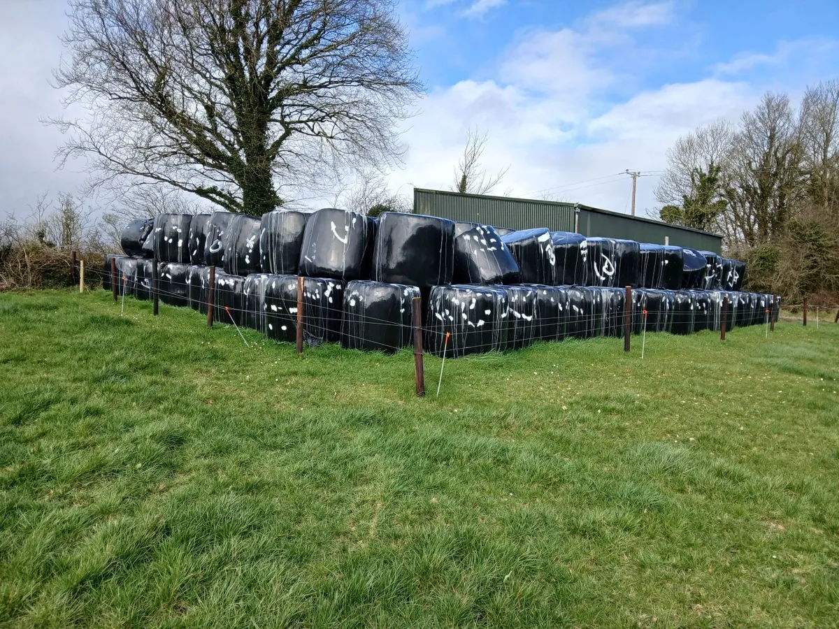 Haylage - Image 2
