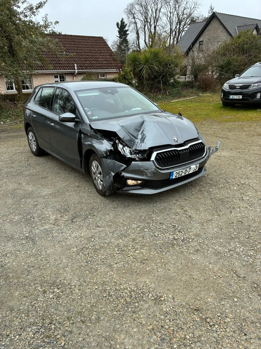 2025 (252) Skoda Fabia NO RECORD - Image 1