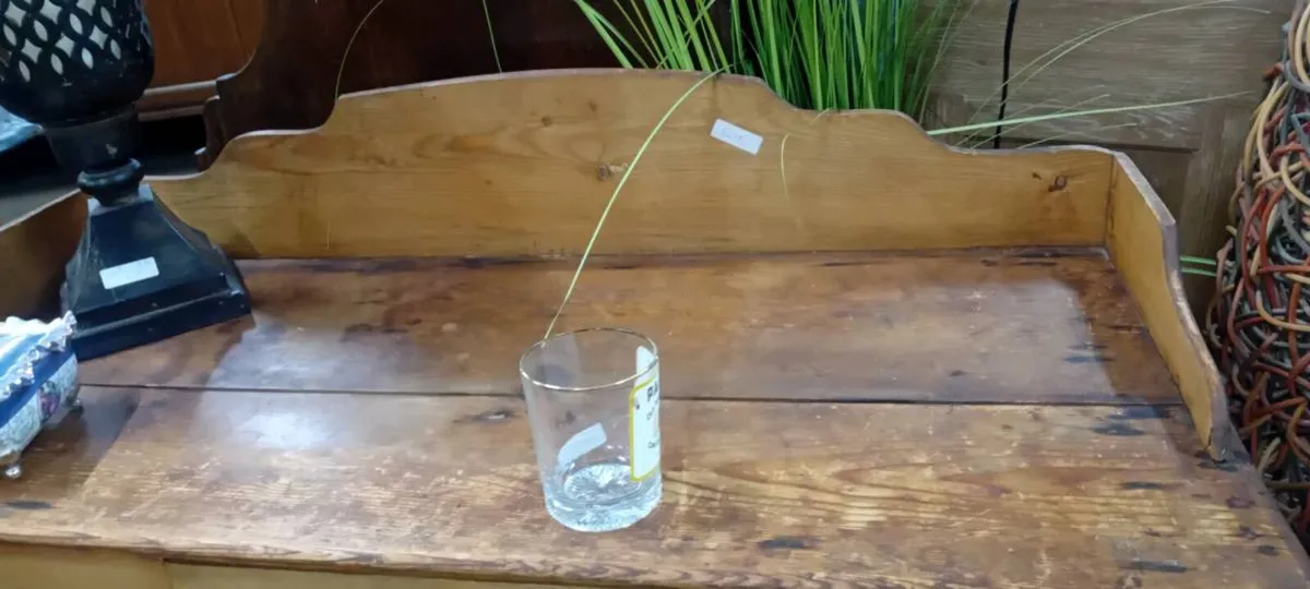 Victorian Stripped Pine Wash Stand - Image 3