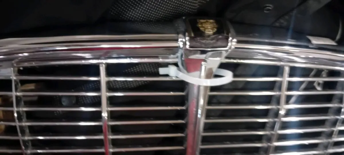 Vintage Chrome Jaguar Front Grill - Image 2