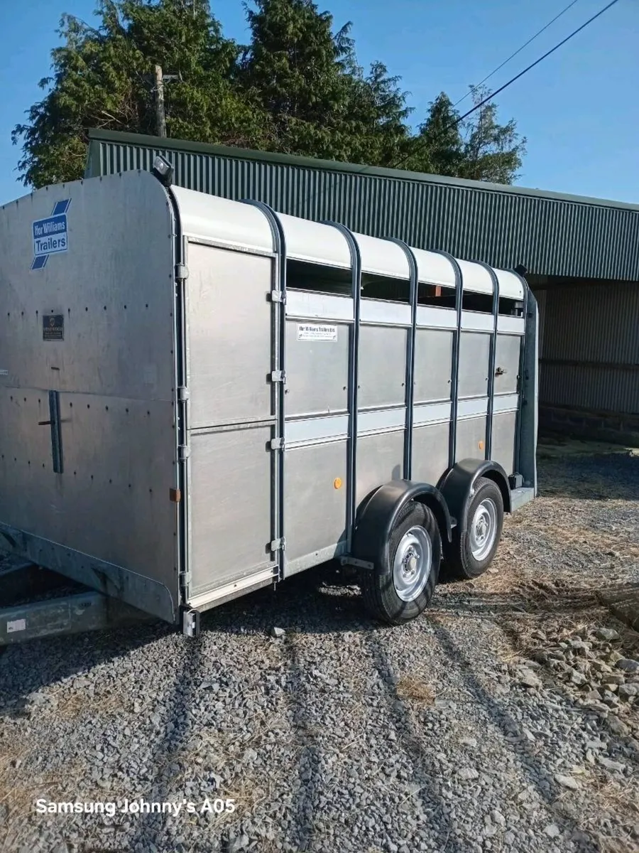 Ifor Williams 12x6 - Image 1