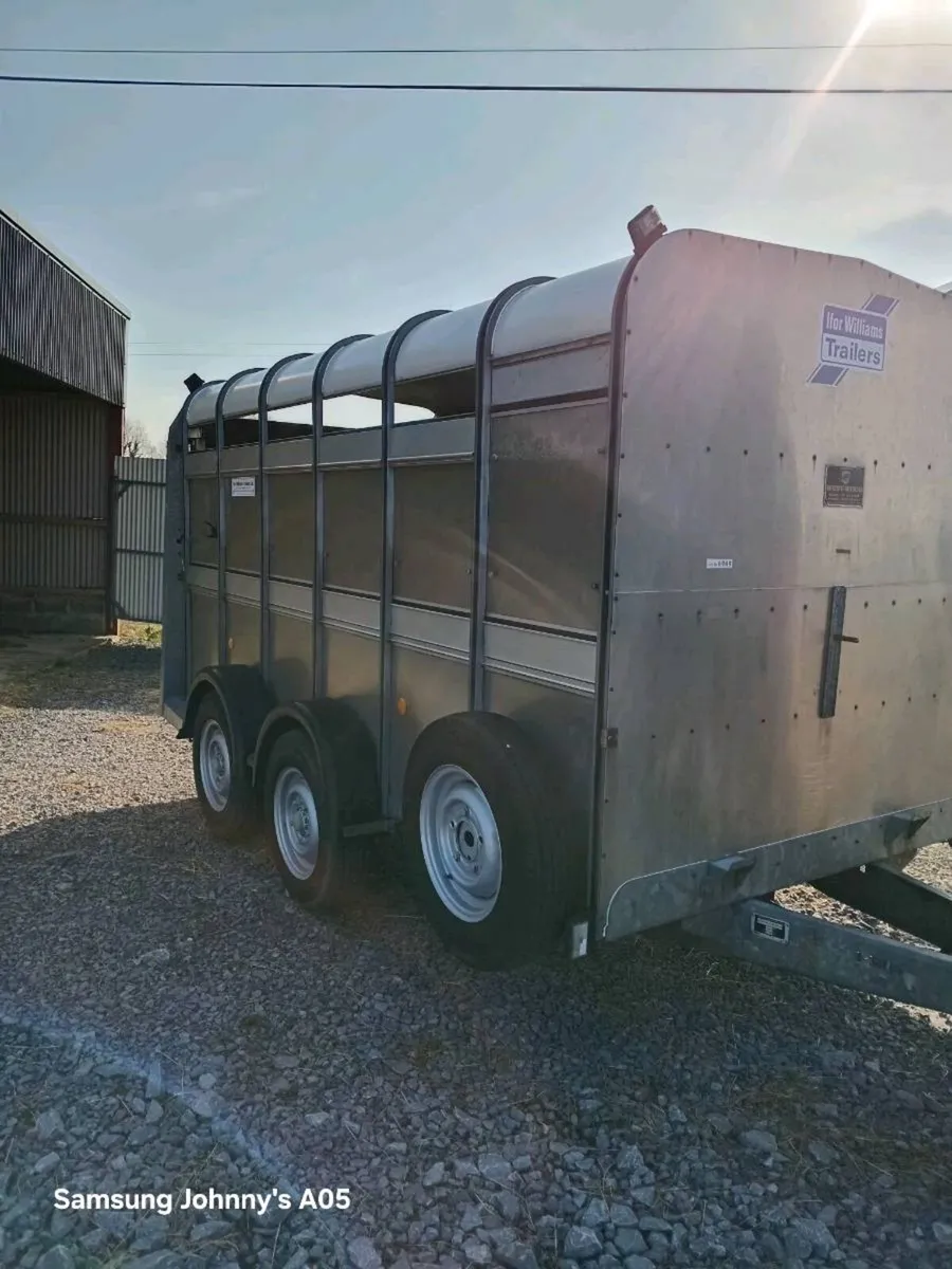 Ifor Williams 12x6 - Image 3