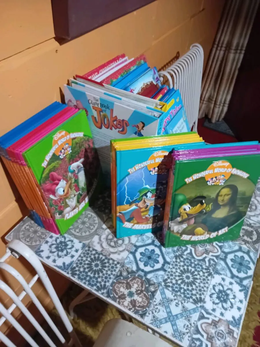 Extensive child's Library - Image 1