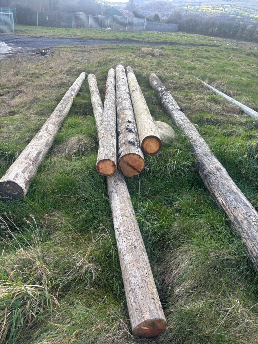 Telegraph Poles - Image 2