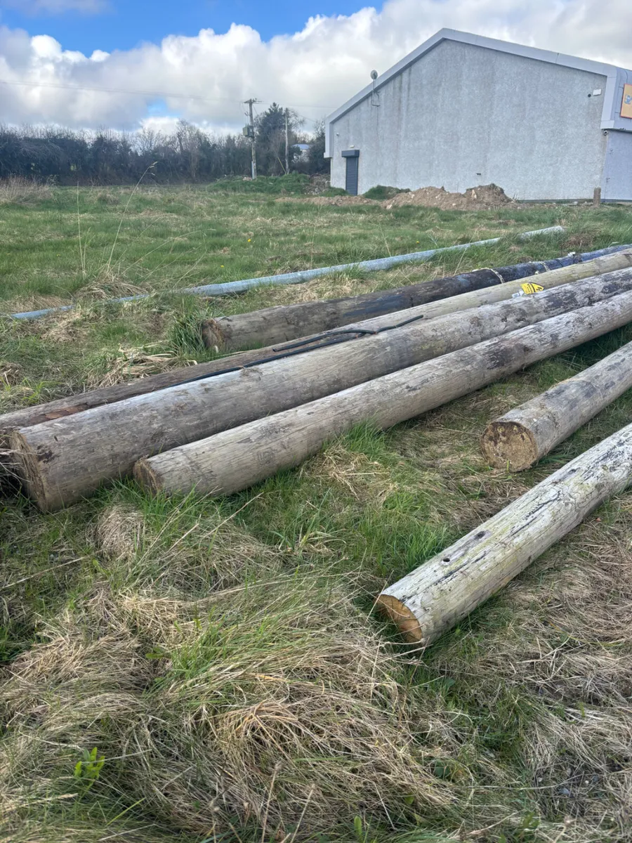 Telegraph Poles - Image 3