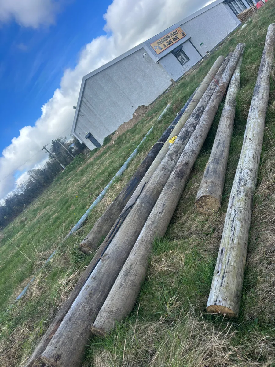 Telegraph Poles - Image 1