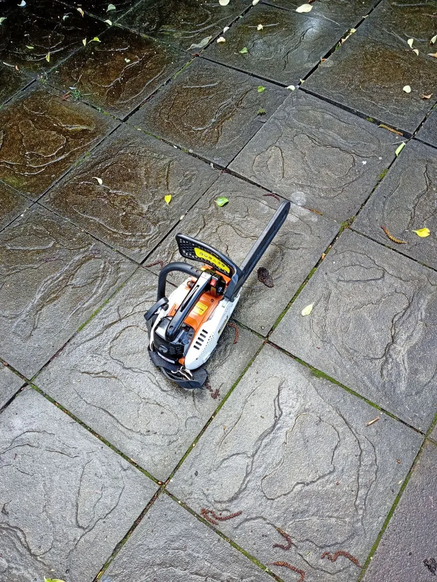 New Chainsaw - Image 3