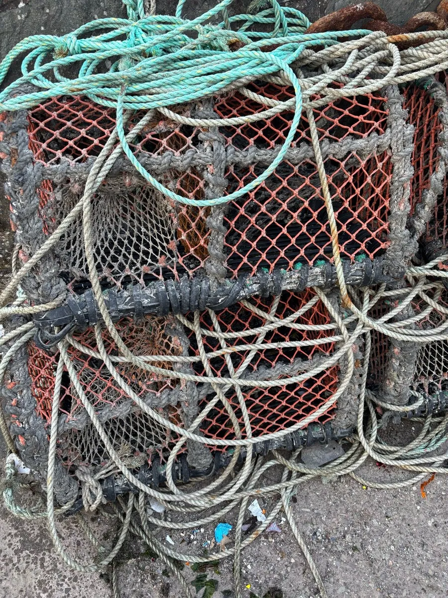 16 Parlor pots - Image 1