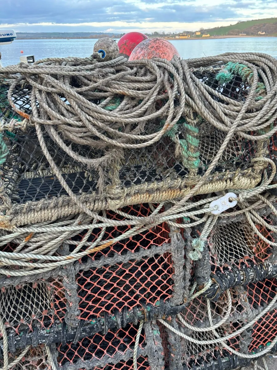 16 Parlor pots - Image 4