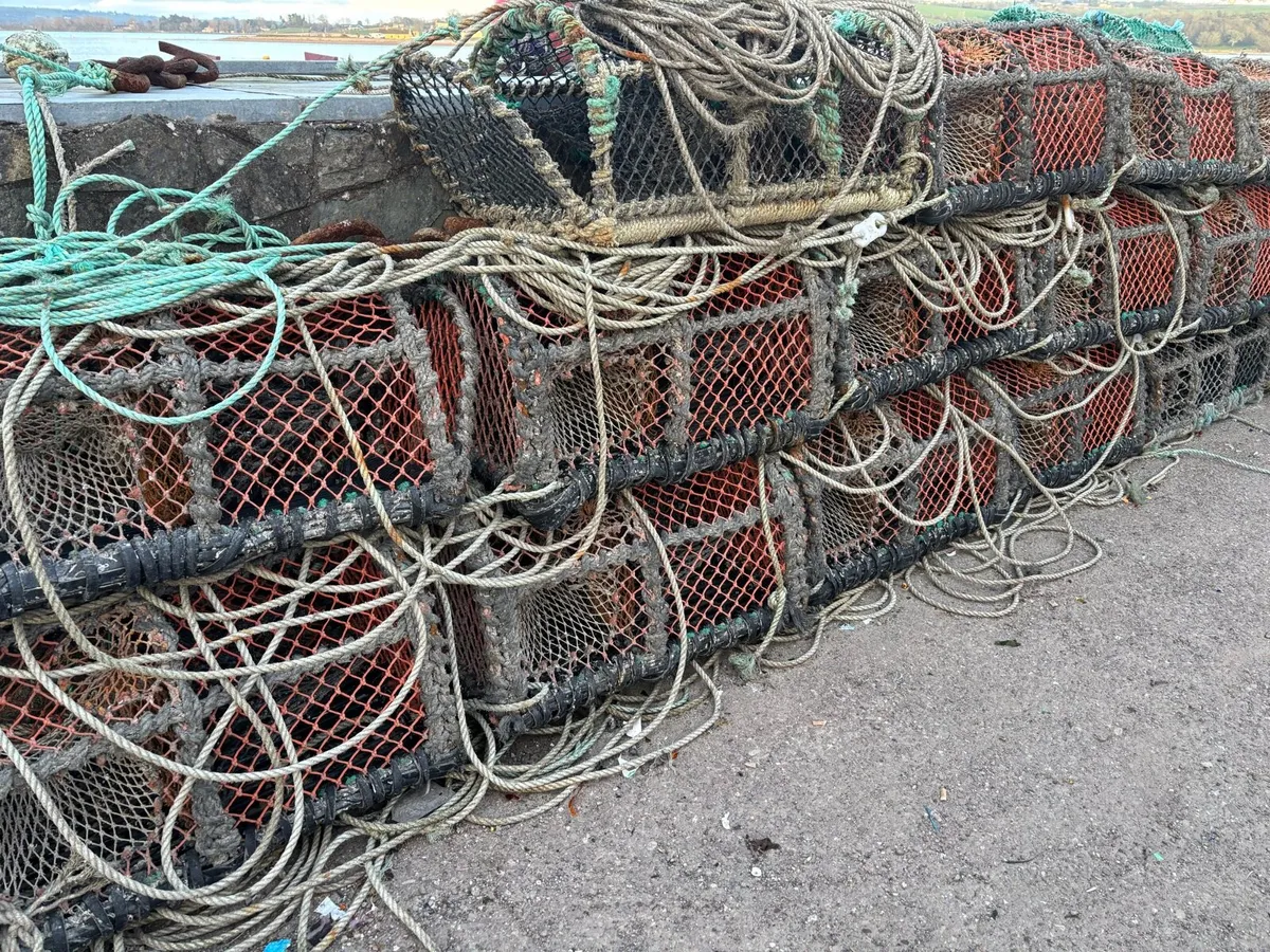 16 Parlor pots - Image 2