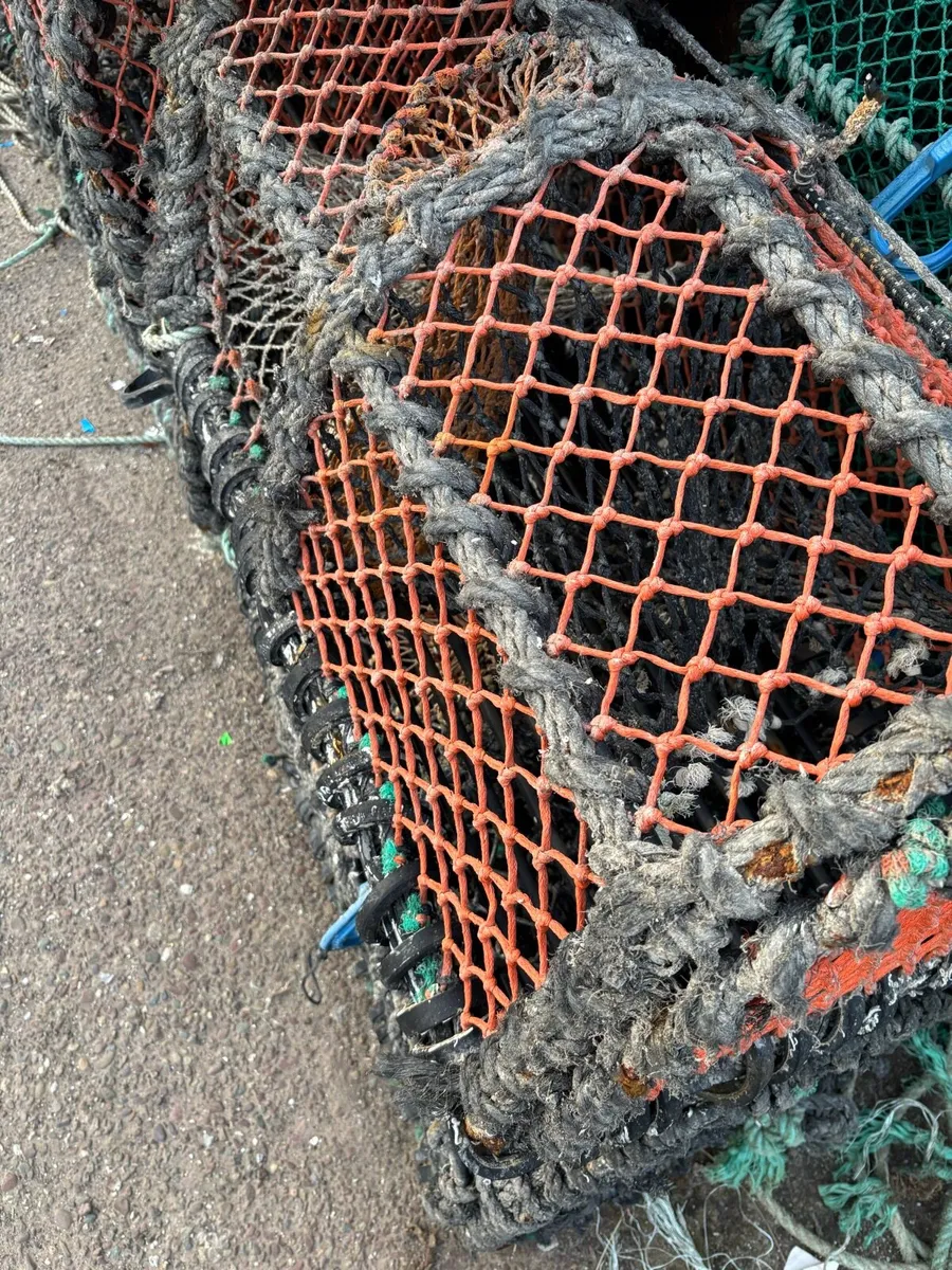 16 Parlor pots - Image 3