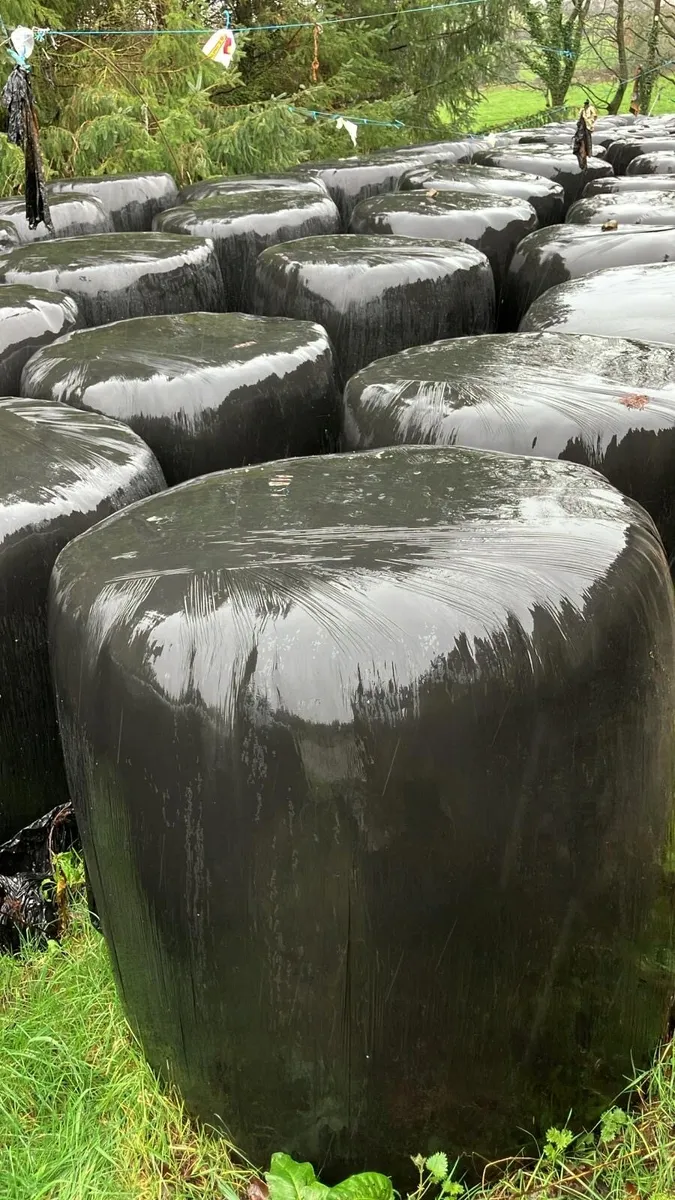 Silage & Haylage for sale - Image 1