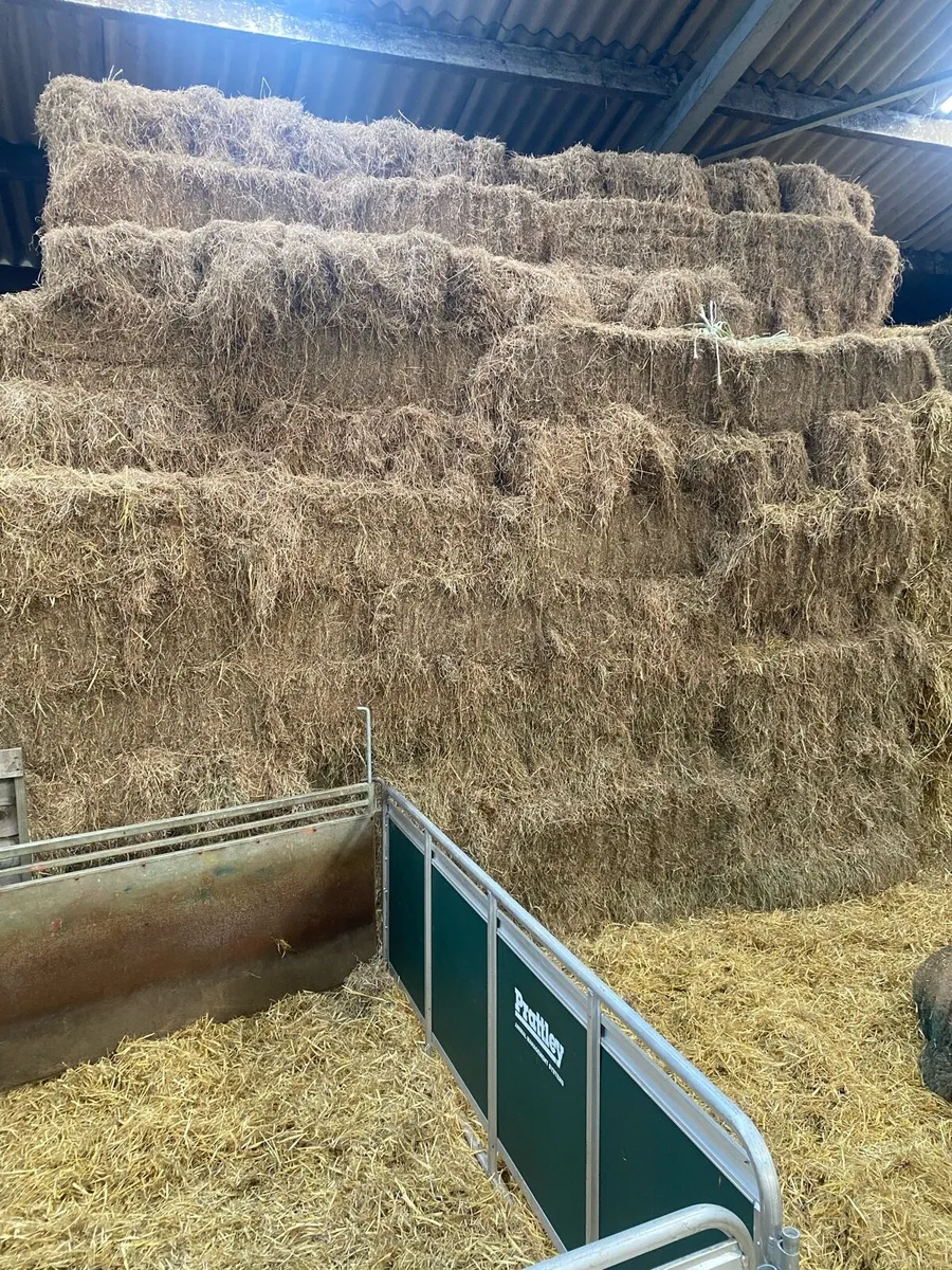 Hay, Haylage & Silage - Image 1