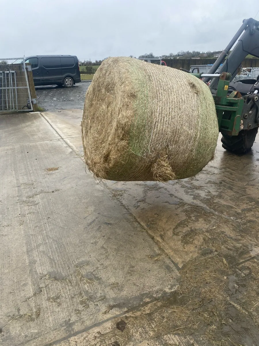 Hay, Haylage & Silage - Image 2