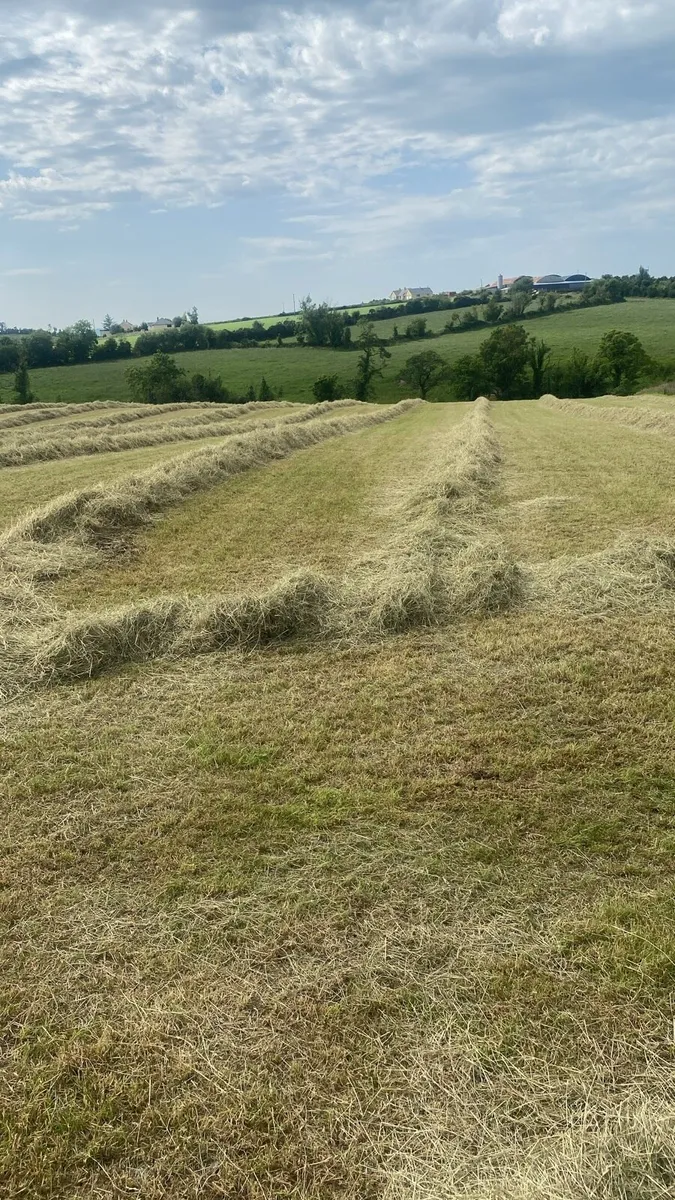 Hay, Haylage & Silage - Image 4