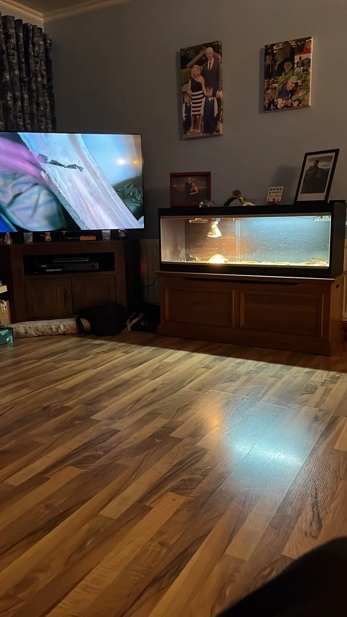 Reptile enclosure - Image 3