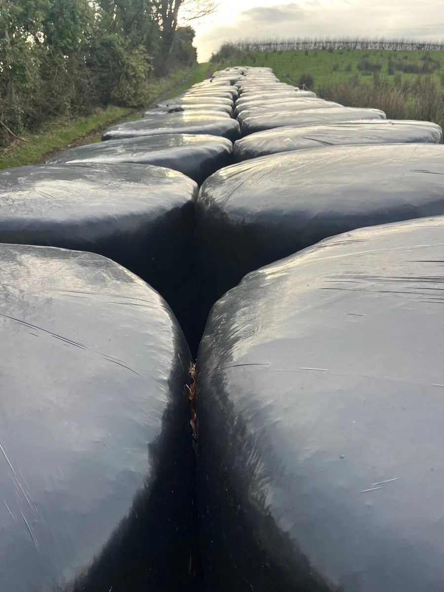 Round bale silage for sale