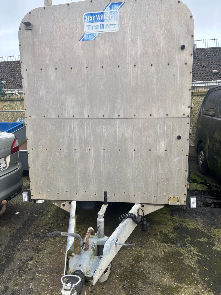 ifor william cattle box - Image 2