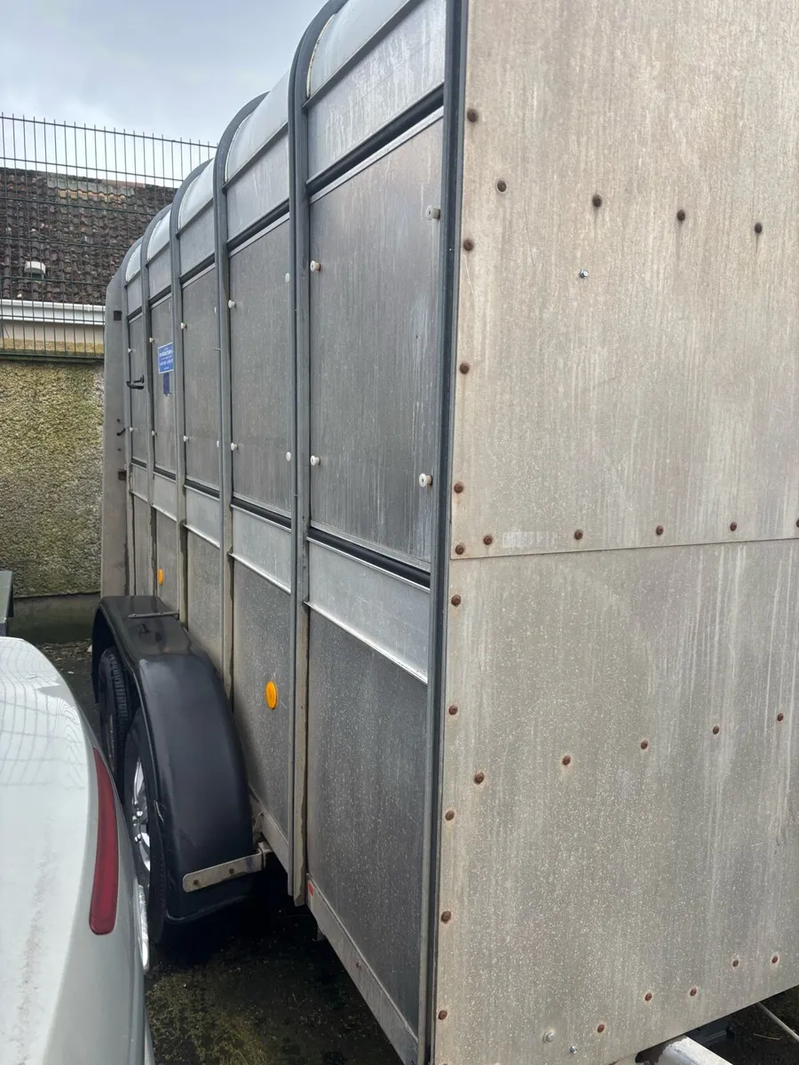 ifor william cattle box - Image 3