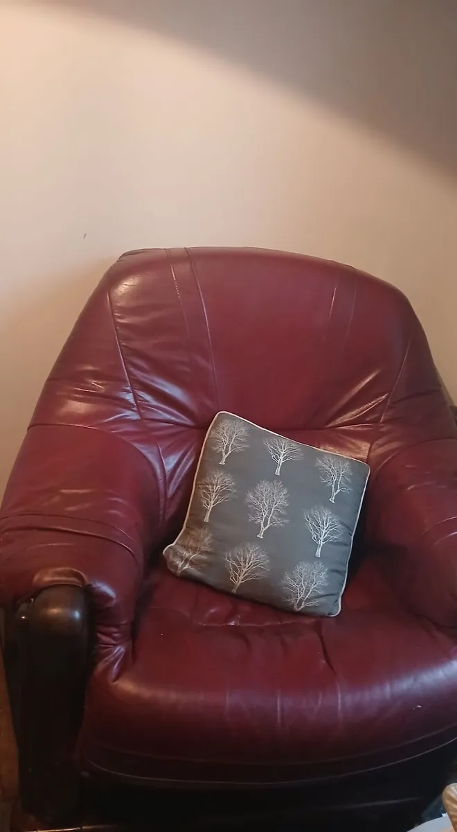 Armchairs x2 - Image 2