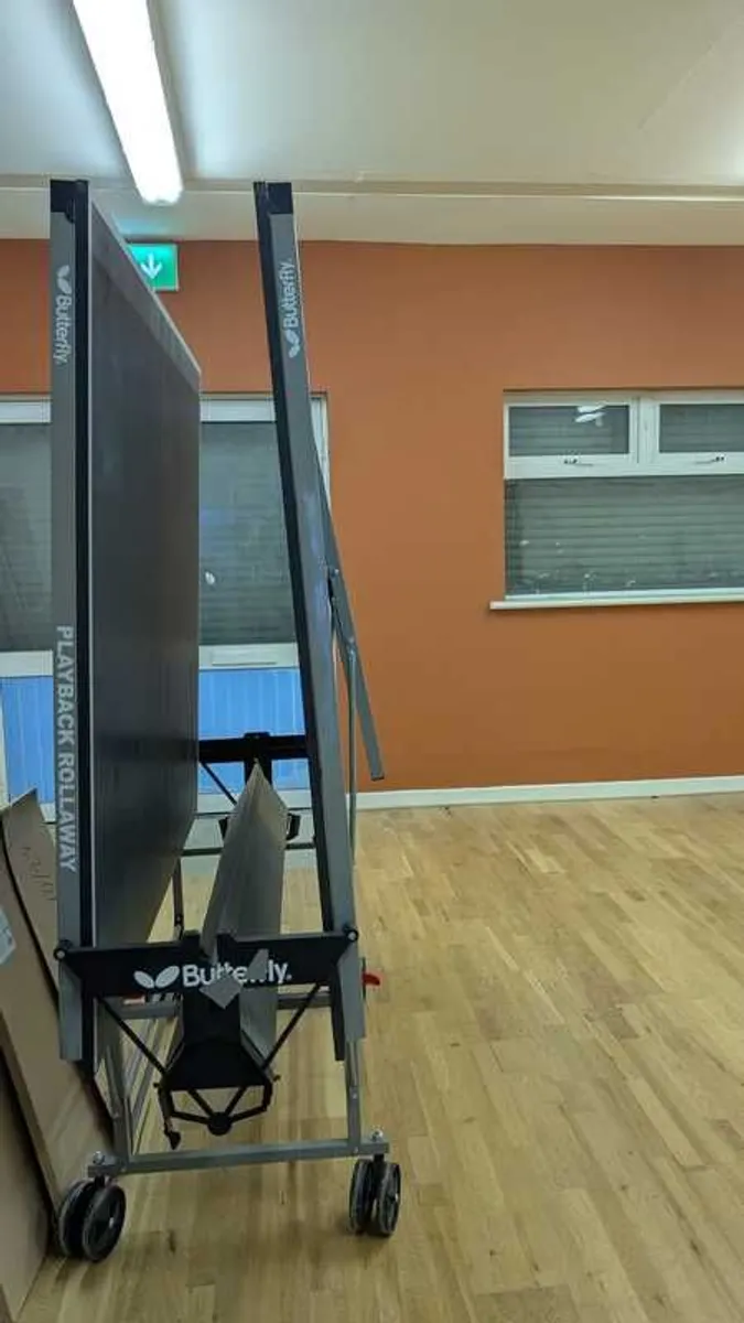 Folding Butterfly Table Tennis Table - Image 3