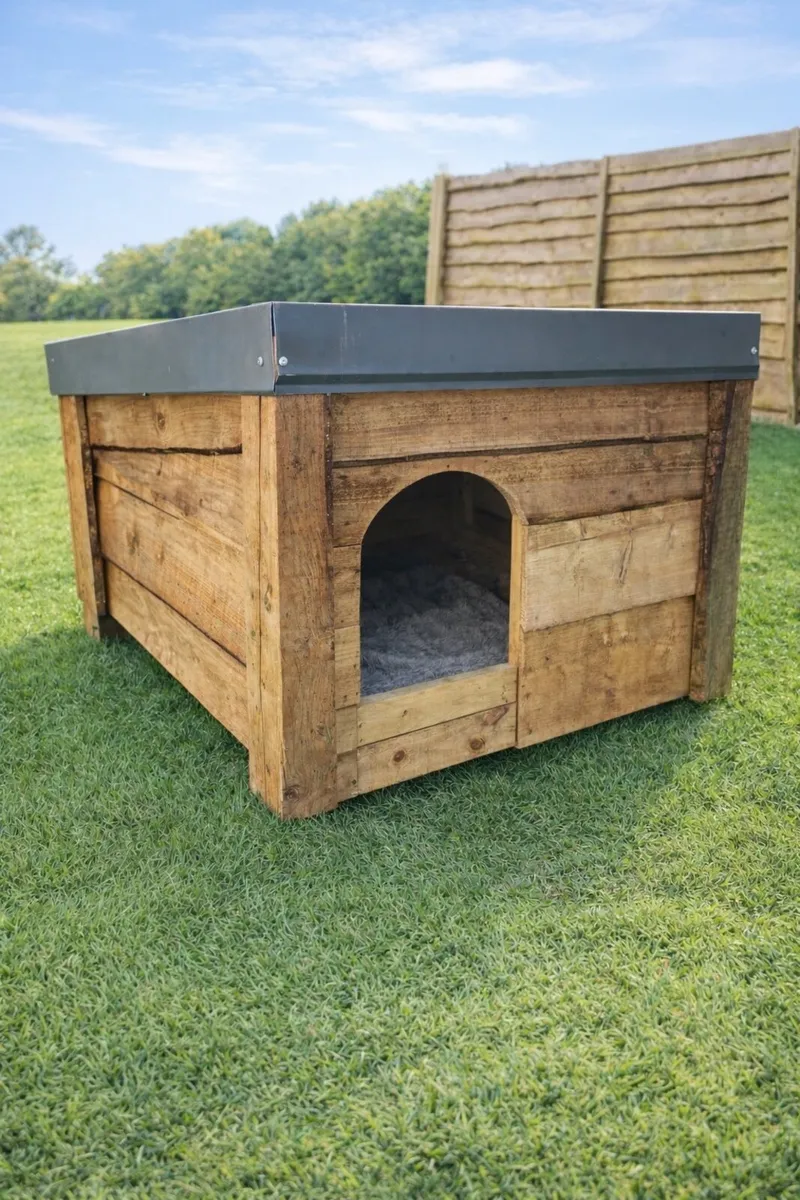 Dog box