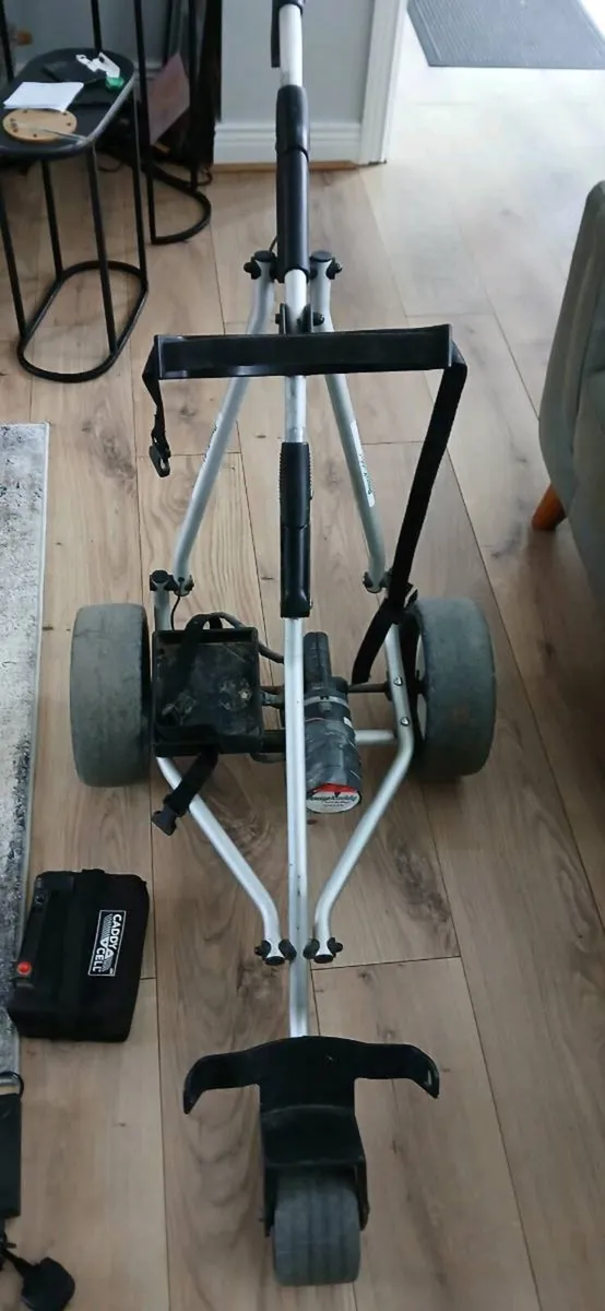Electric golf  cart - Image 2