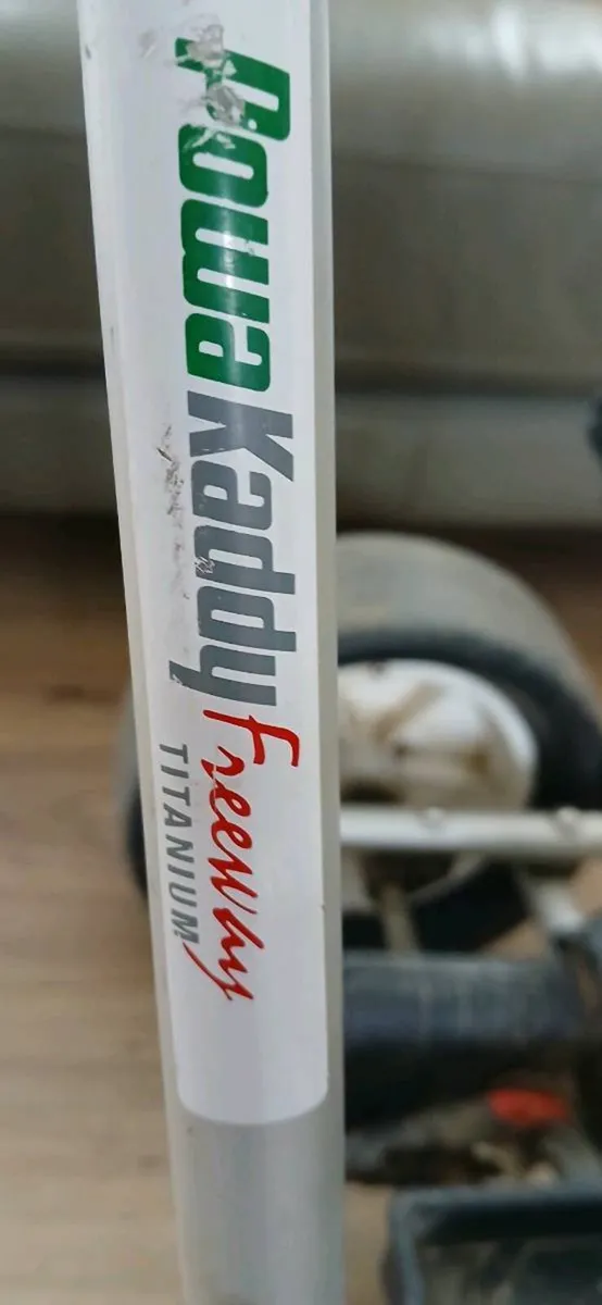 Electric golf  cart - Image 3